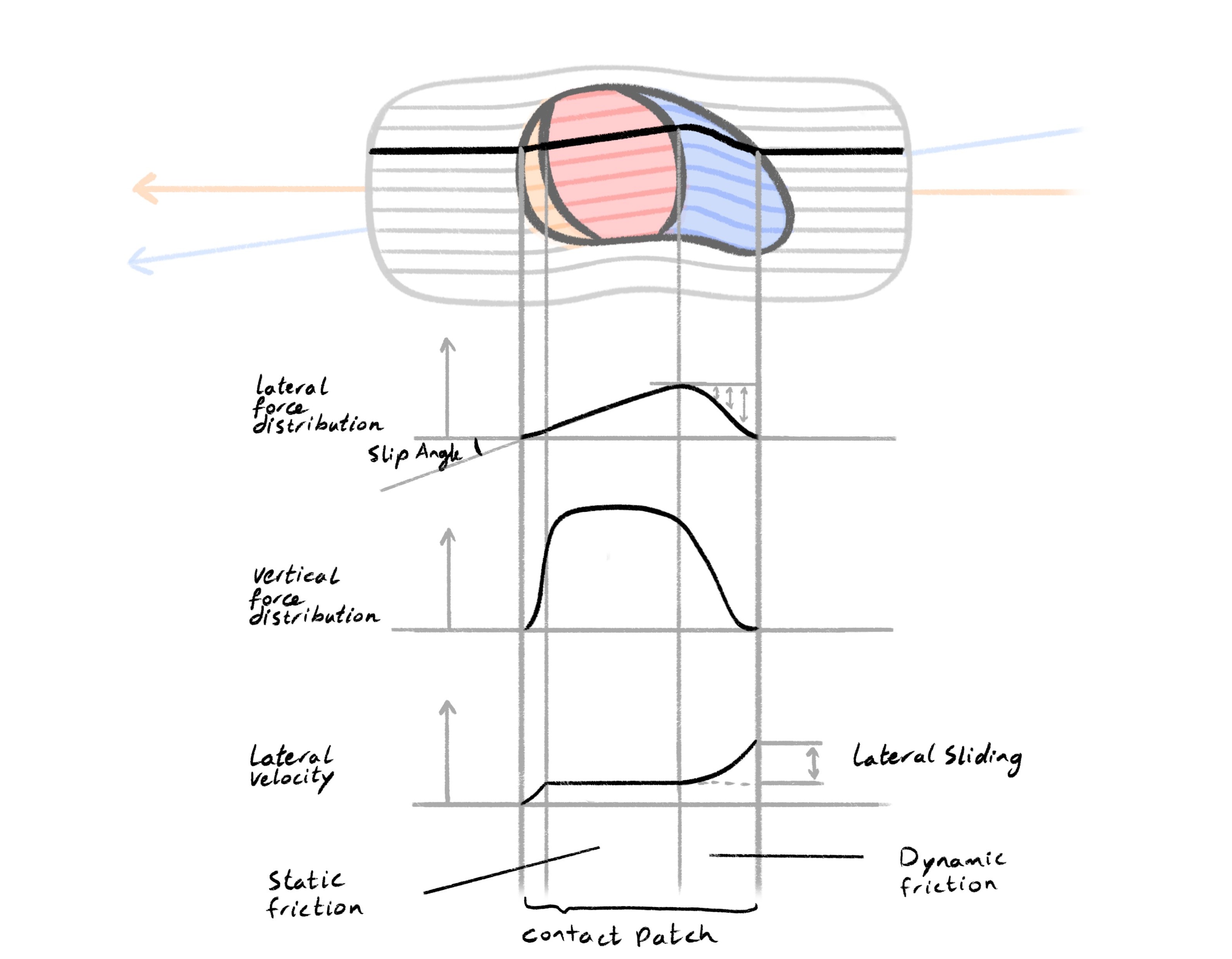 lateral deformation