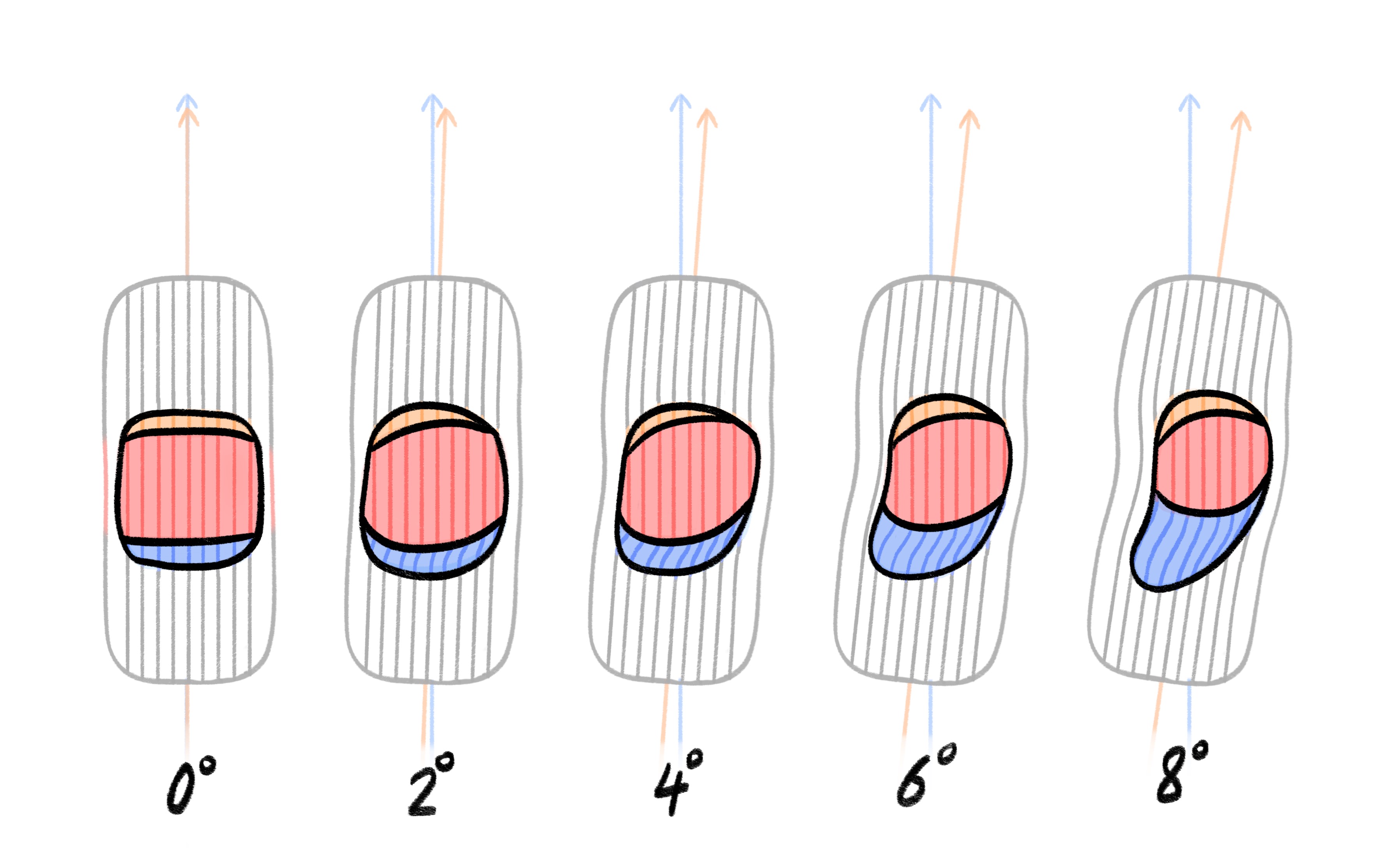 lateral deformation smaller sizes
